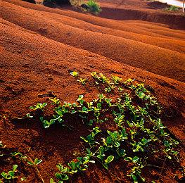 昨天是索尼PS5正式发售两周年